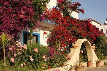 Welcome Apts 3*
